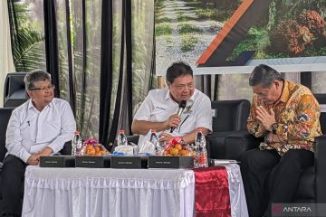 Menko Perekonomian serap keluhan pekebun sawit Sumut