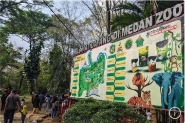 KLHK diminta evaluasi Medan Zoo terkait kematian empat ekor harimau