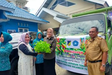 Pemprov Sulteng bagikan 10 ribu bibit tanaman cabai di Palu