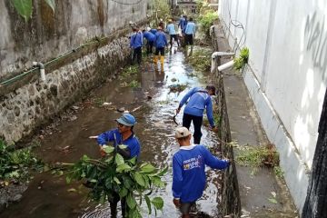 Pasukan Biru Denpasar bersihkan tanaman liar di sungai cegah banjir