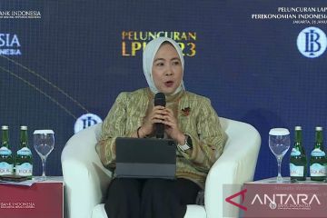 BI: Sinergi bauran kebijakan nasional tingkatkan kapasitas ekonomi