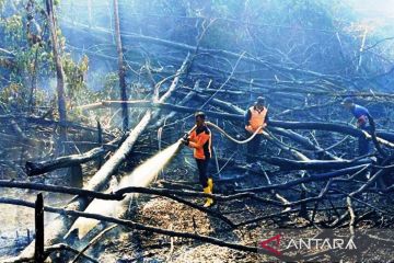 BMKG: Masih ada 58 titik panas di Kaltim, ada kawasan tanpa hujan