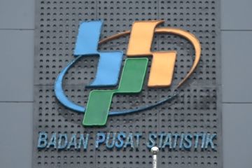 BPS: Harga beras naik 0,48 persen seiring kenaikan harga gabah