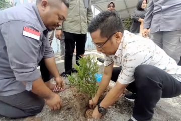 Usai pelantikan, anggota KPPS Kota Palu lakukan penanaman pohon