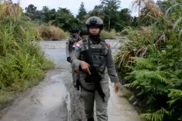 Aksi tembak terjadi lagi di Intan Jaya, 5 KKB tewas dibawa ke hutan