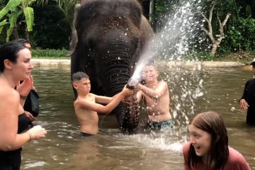 Diminati wisatawan asing, mandi lumpur bersama gajah di Bali