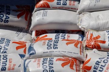 Bulog Kalbar siap distribusikan 15 ribu ton beras HBKN 2024