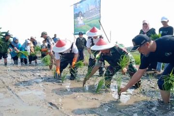 Galakkan urban farming, Pemkot Tangerang canangkan kampung agrowisata