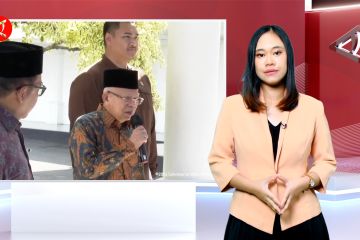 Sikap netral Wapres Ma'ruf hingga larangan konsumsi daging anjing