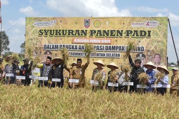 Percepat tanam padi, Kementan suntik bibit dan pupuk di Kalsel