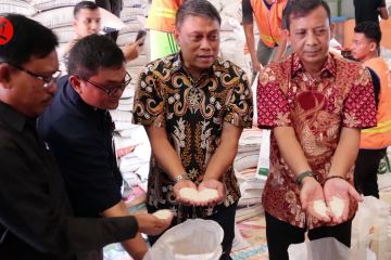 Bantuan pangan beras 2024 mulai disalurkan, KPM di Aceh berkurang