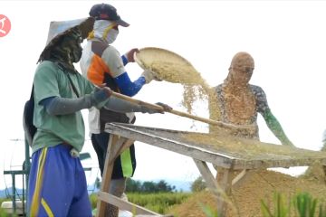 BPS sebut petani Gorontalo semakin sejahtera