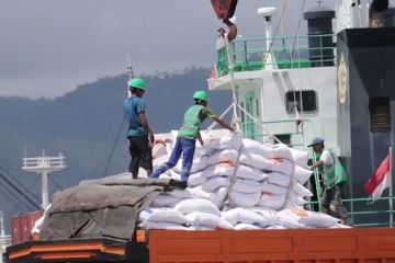 BPS: Neraca perdagangan Indonesia surplus 44 bulan berturut-turut