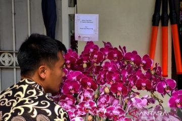 Kirim bunga untuk Megawati, Presiden Jokowi: Biasa saja