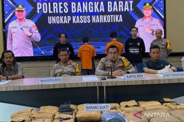 Polisi gagalkan penyelundupan 24 kilogram ganja ke Bangka