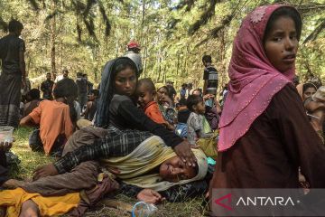 Ratusan pengungsi Rohingya kembali datang di Aceh Timur