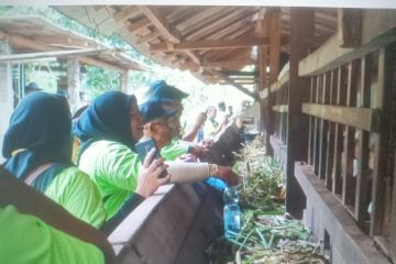 PLN EPI gerakkan Desa Mandiri Energi di Gunung Kidul DIY