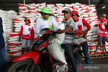 Diskon pupuk nonsubsidi untuk percepatan musim tanam