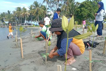 Green Leadership RI tanam 574 pohon mangrove di Polewali Mandar