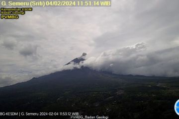 Gunung Semeru kembali erupsi dengan letusan setinggi 600 meter