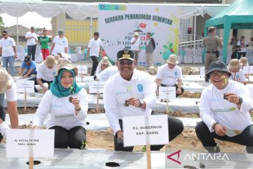 Pj Gubernur sebut petani Babel mulai panen cabai