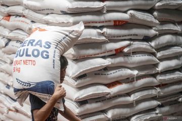 Asosiasi tani KTNA yakin Indonesia bakal surplus beras