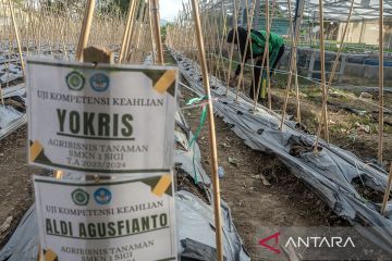 Standar kompetensi lulusan SMK