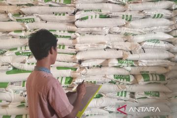 Dirut Pupuk Kujang jamin stok pupuk subsidi bagi petani Cirebon aman