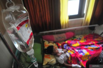 Waspadai fase kritis pada pasien demam berdarah dengue