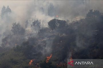 Kebakaran hutan picu evakuasi massal di New Mexico