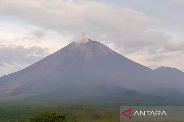 Gunung Semeru luncurkan abu vulkanik setinggi 500 meter