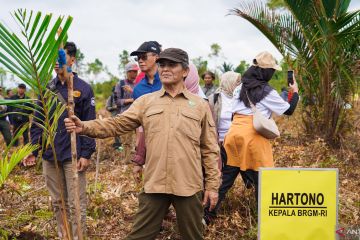 BRGM – KLHK tegaskan komitmen pemeliharaan lahan basah Indonesia