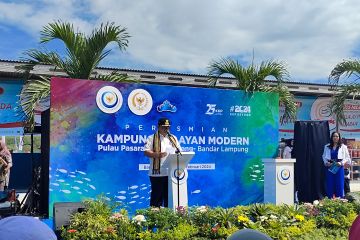 Lampung jalin kerjasama budidaya lobster dengan Vietnam