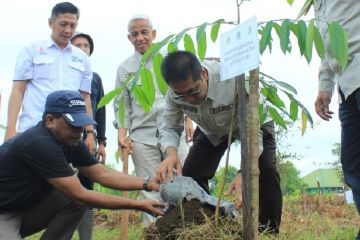 Kalbar tanam 1.200 pohon pada Hari Lahan Basah Sedunia
