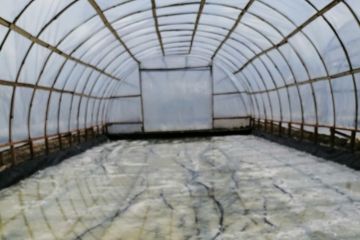 Dosen UB buat inovasi "Greenhouse Salt Tunnel" atasi kelangkaan garam