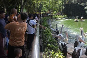 Libur Isra Mikraj, Taman Margasatwa Ragunan dikunjungi 27.964 orang