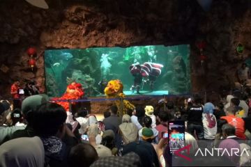 Ancol hadirkan barongsai dan dragon bawah air di perayaan Imlek