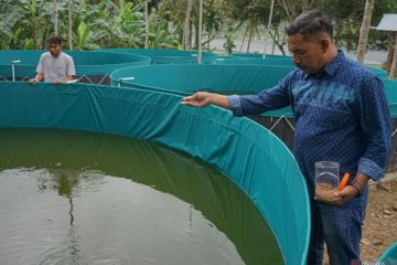 FOTO - Budi daya ikan sistem bioflok dari dana desa di Sabang