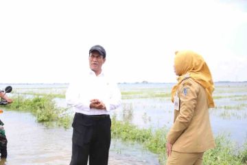 Mentan minta asuransi petani korban banjir Jateng cair dalam sepekan