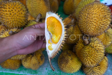 Penjualan buah empakan khas Kapuas Hulu
