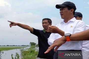 Mentan ajak semua pihak bantu petani terdampak banjir di Jateng