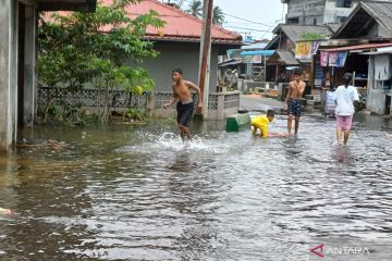 BPBD: 80 persen kelurahan di Tanjungpinang terdampak banjir rob