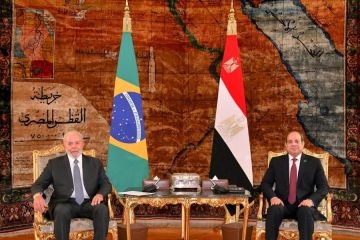 Presiden Mesir dan Brasil dukung gencatan senjata di Gaza