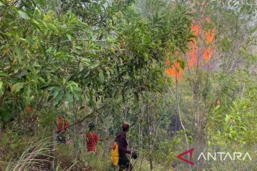 Dishut Maluku padamkan kebakaran hutan di kawasan Leahari