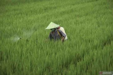 Kementan relaksasi biaya perlindungan varietas tanaman