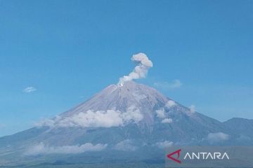 Gunung Semeru erupsi setiap hari dalam sepekan terakhir