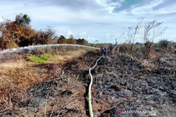 BNPB ajak semua pihak lanjutkan tren positif mitigasi Karhutla