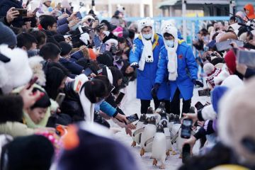 Harbin, China terima 10.09 juta kunjungan selama Tahun Baru Imlek