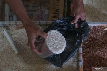 Harga beras naik di Kendari
