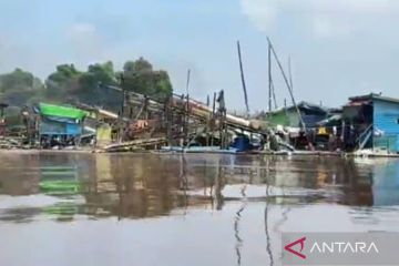 Walhi minta Kapolri turun tangan hentikan PETI di Sanggau